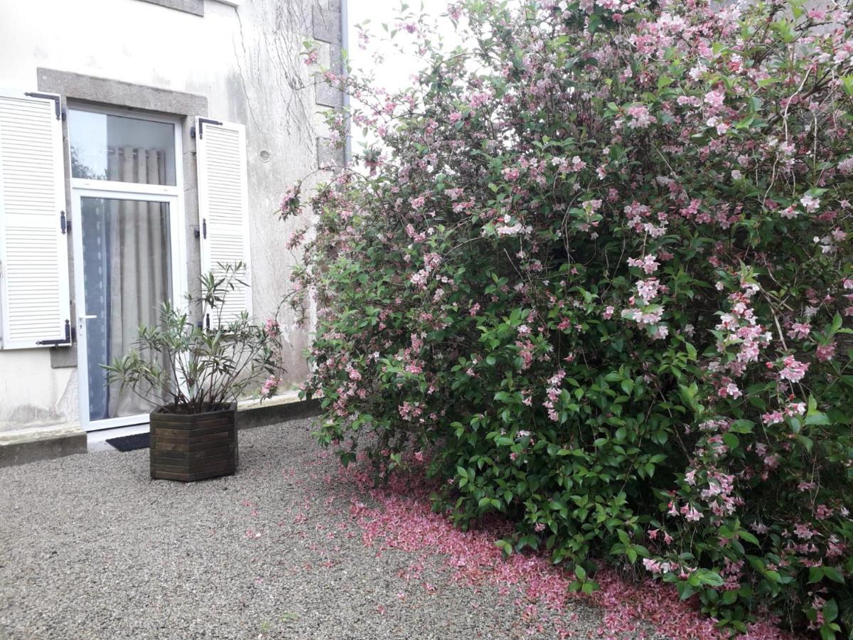 "Cosy Trendy & Chic" - Stayhome Quimper Exteriér fotografie